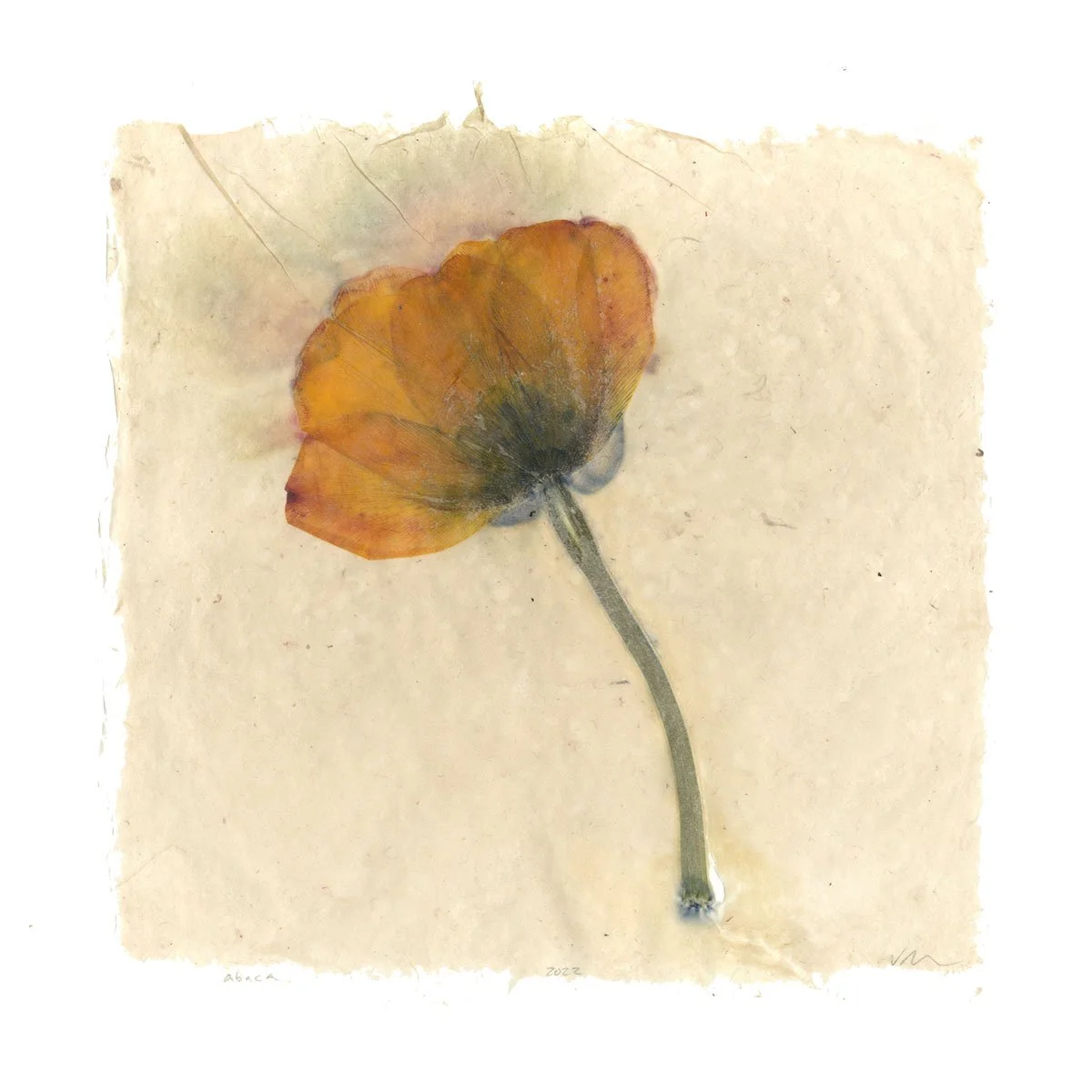 tulip in abaca .jpg