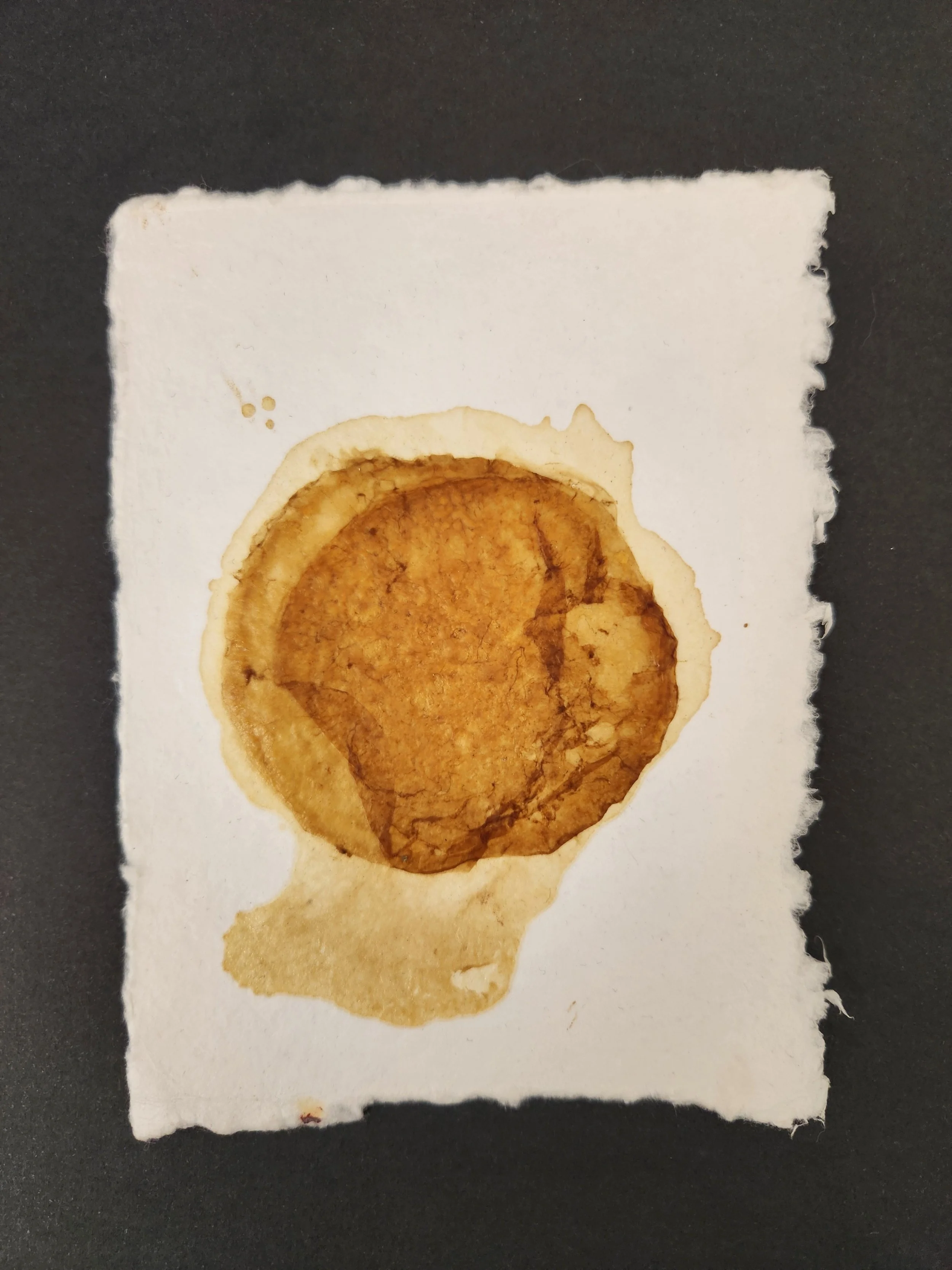 Viy scoby paper.jpg
