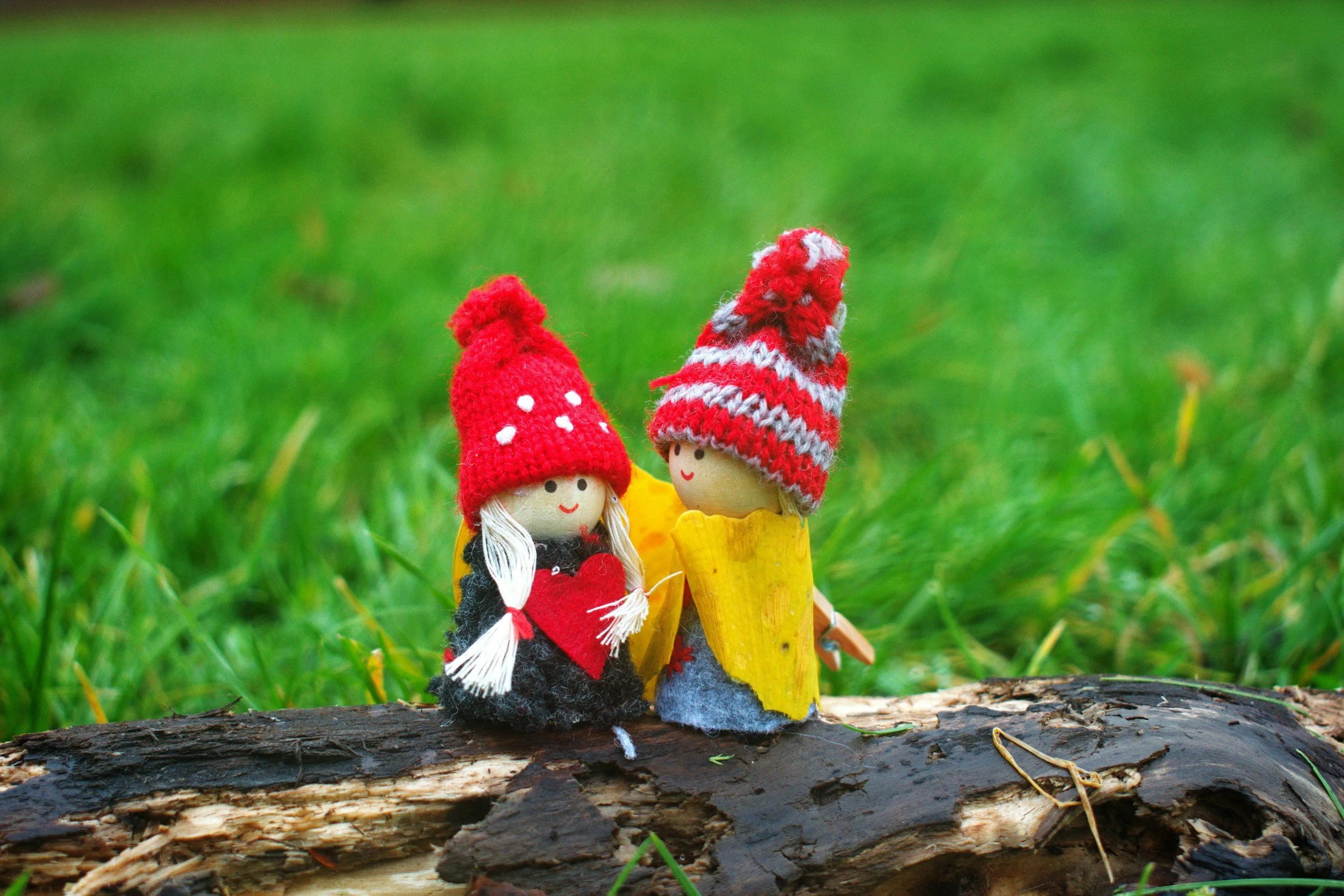 Two small wooden dolls wearing red hats stand on a log with grass in the background.