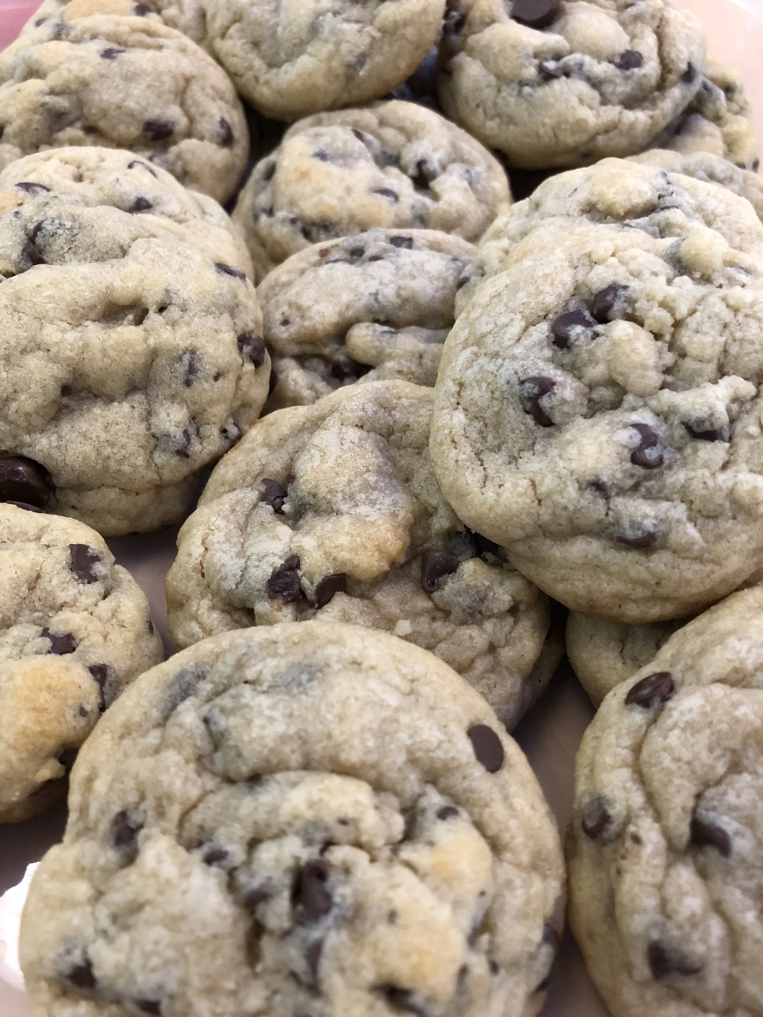Chocolate Chip Cookie