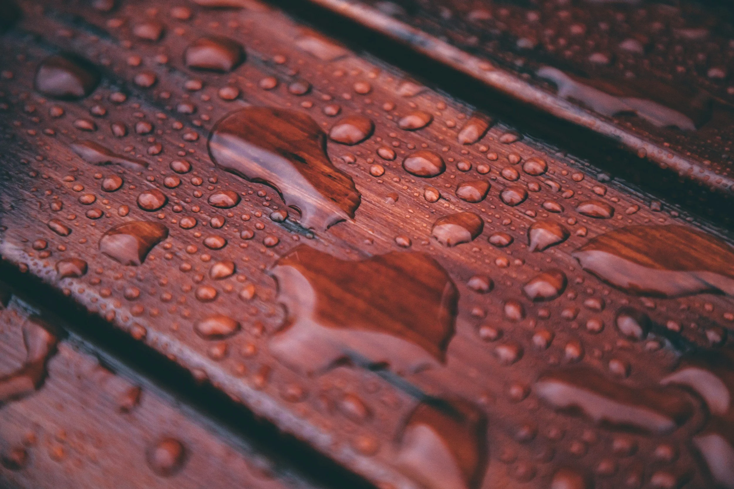 Close-up of a wet wooden surface with scattered water droplets.
