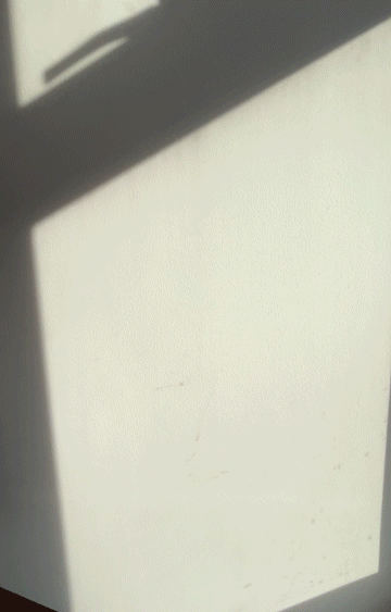 IMG_37592white.gif