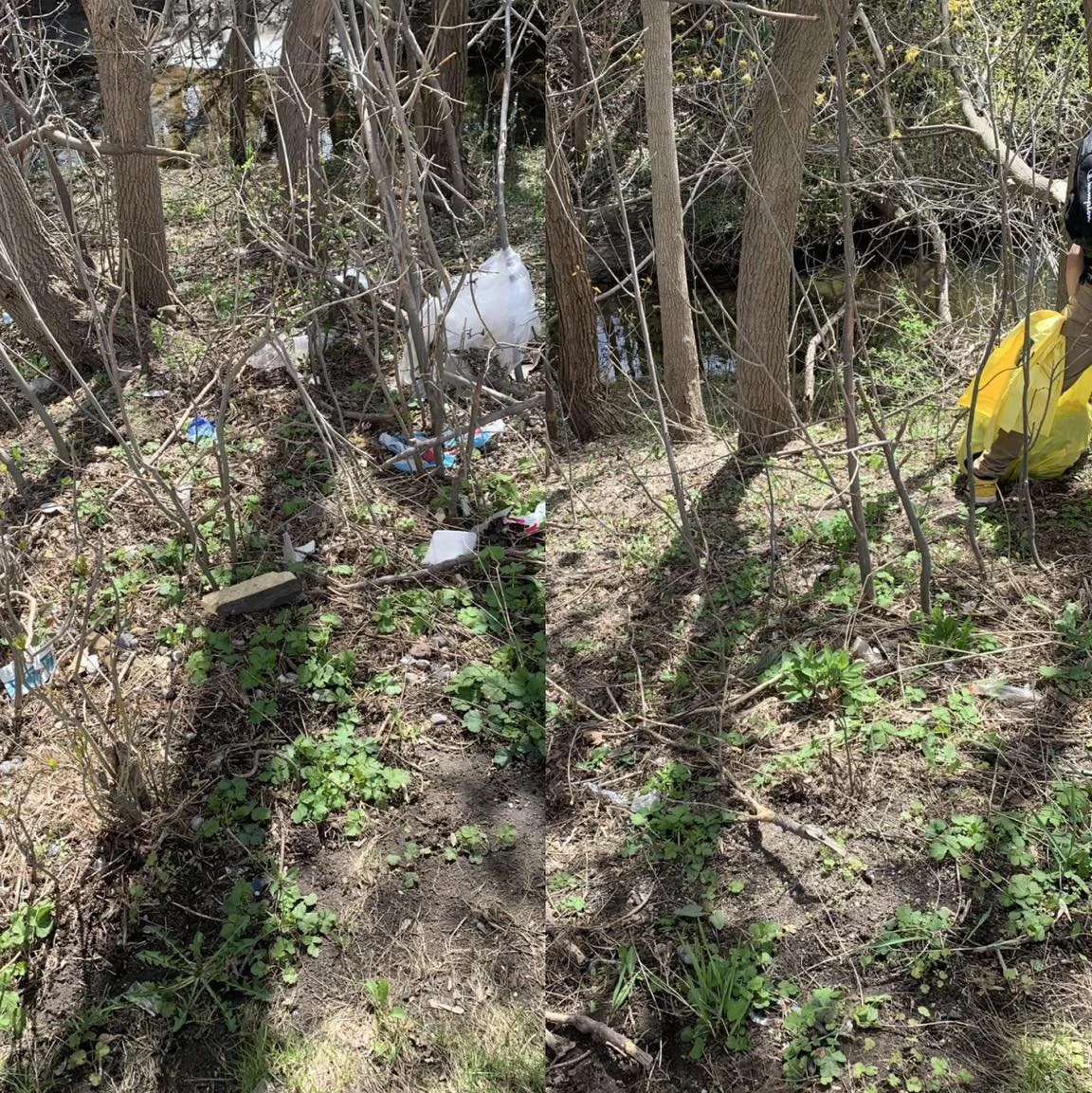 Side-by-side comparison of a dirty, littered woodland area on the left and a clean, trash-free woodland area on the right.