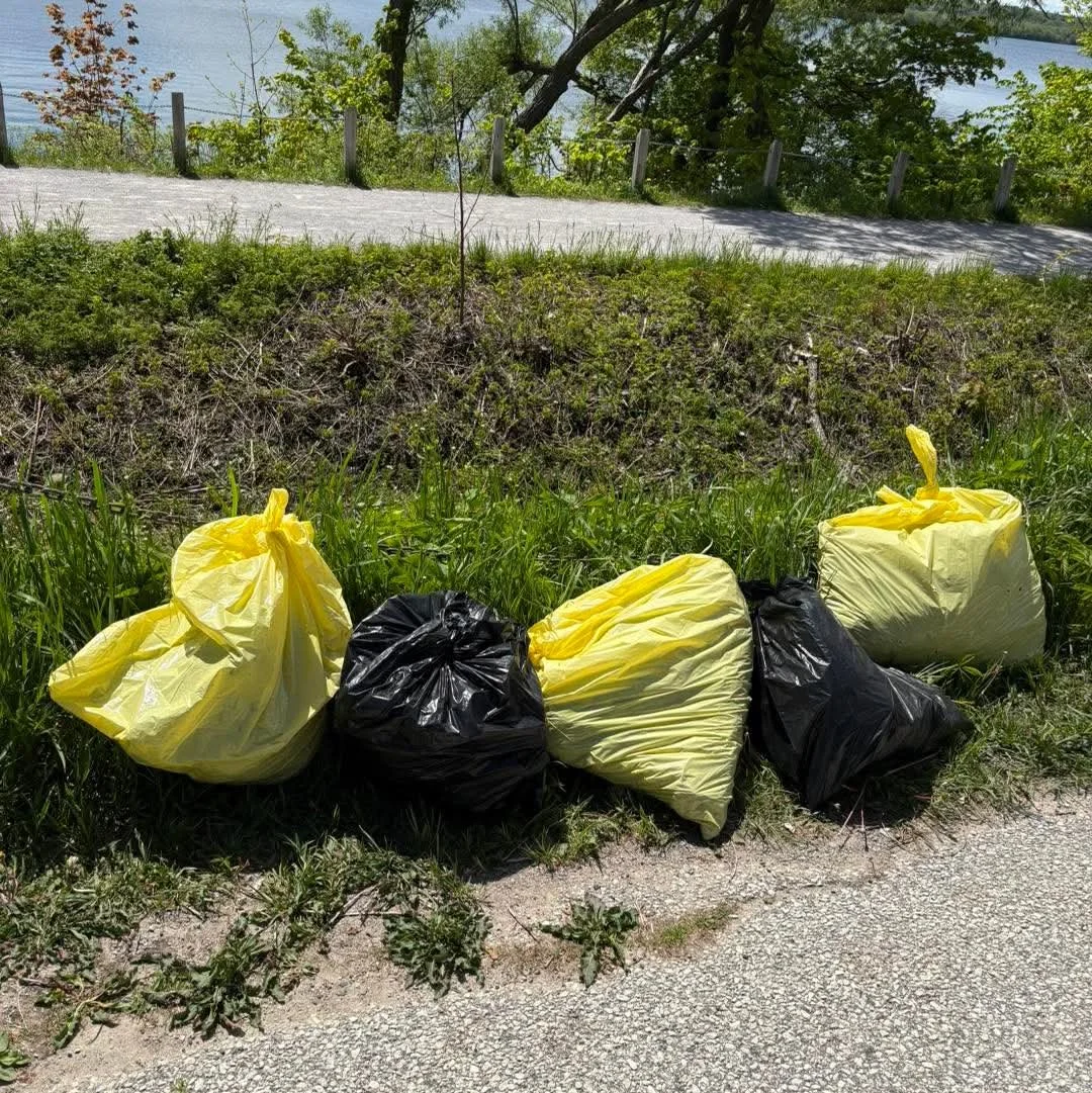 Five trash bags, two yellow and two black, lined up on a grassy roadside near a dirt path with bushes and trees, overlooking a body of water and a road with a wooden fence.