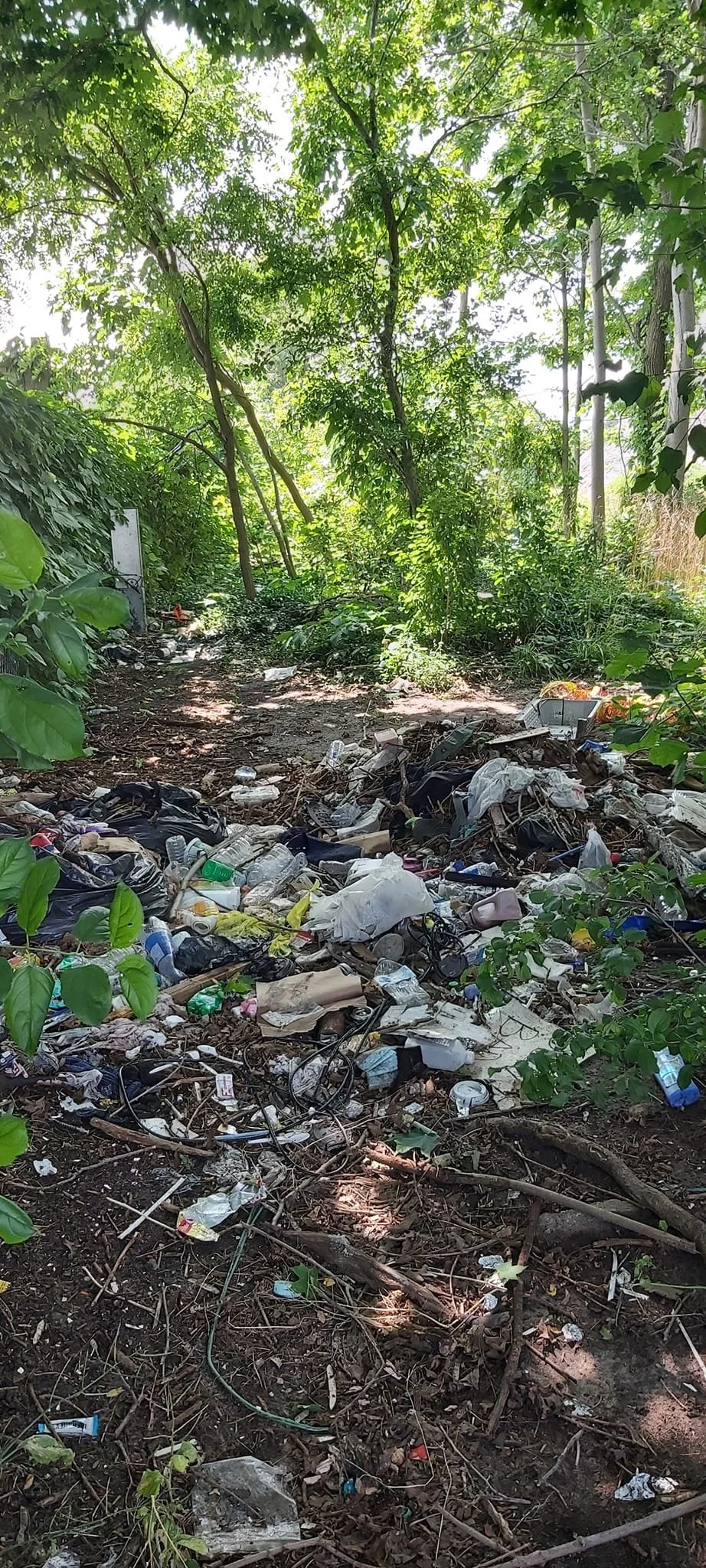 A forested area with trees and green foliage, and a large pile of trash and litter covering the ground.