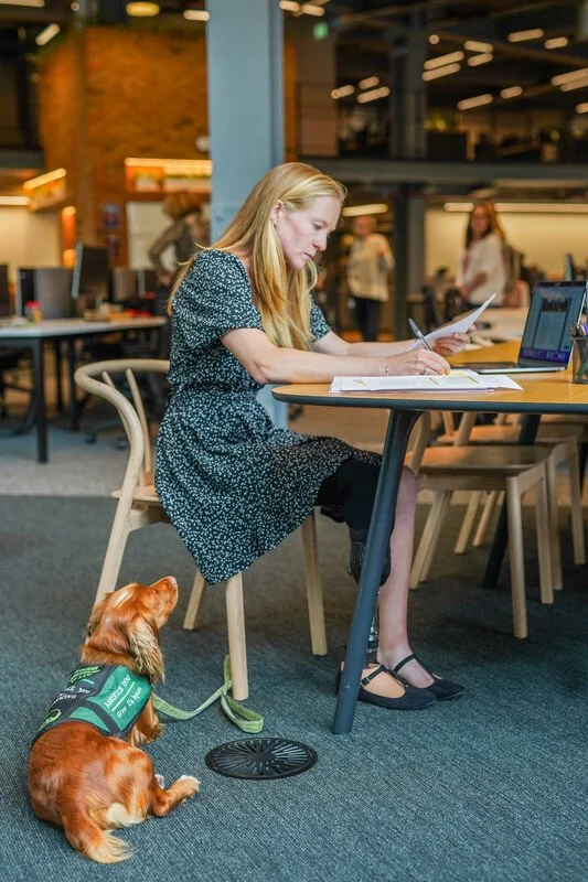 Person with limb loss and a prosthetic leg works at table with assistance dog and colleagues in background