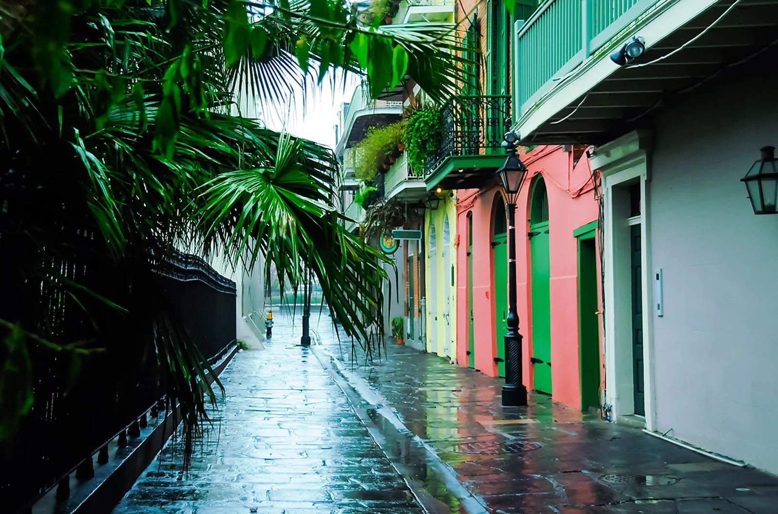 NewOrleans_uxga.jpg
