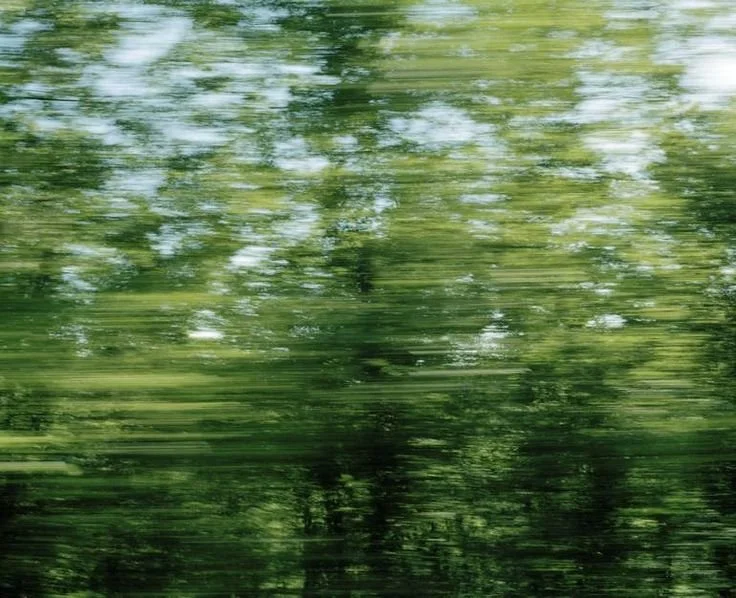 Blurred view of green trees from a moving vehicle