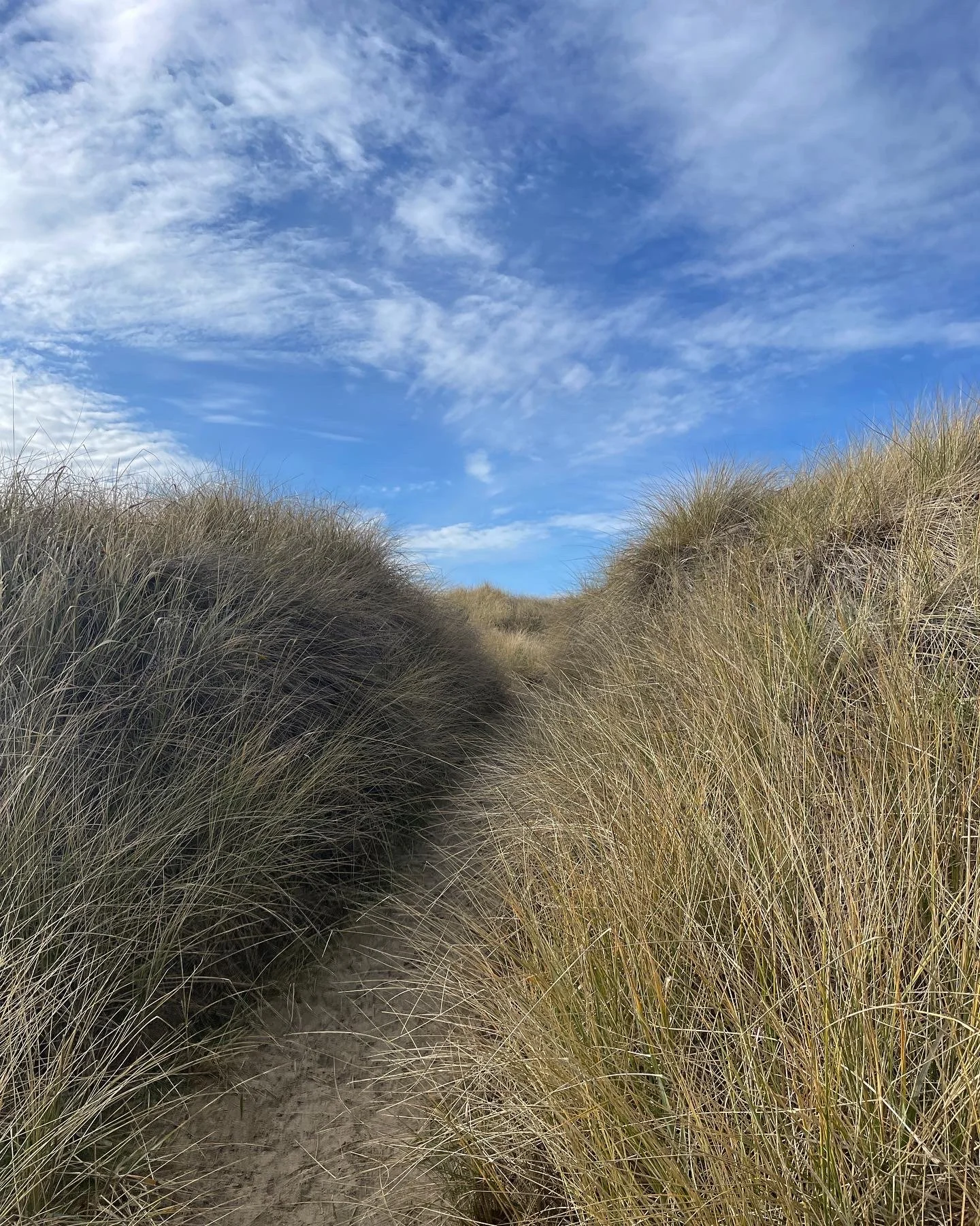Path through tall grassy dunes leading to blue sky with scattered clouds.