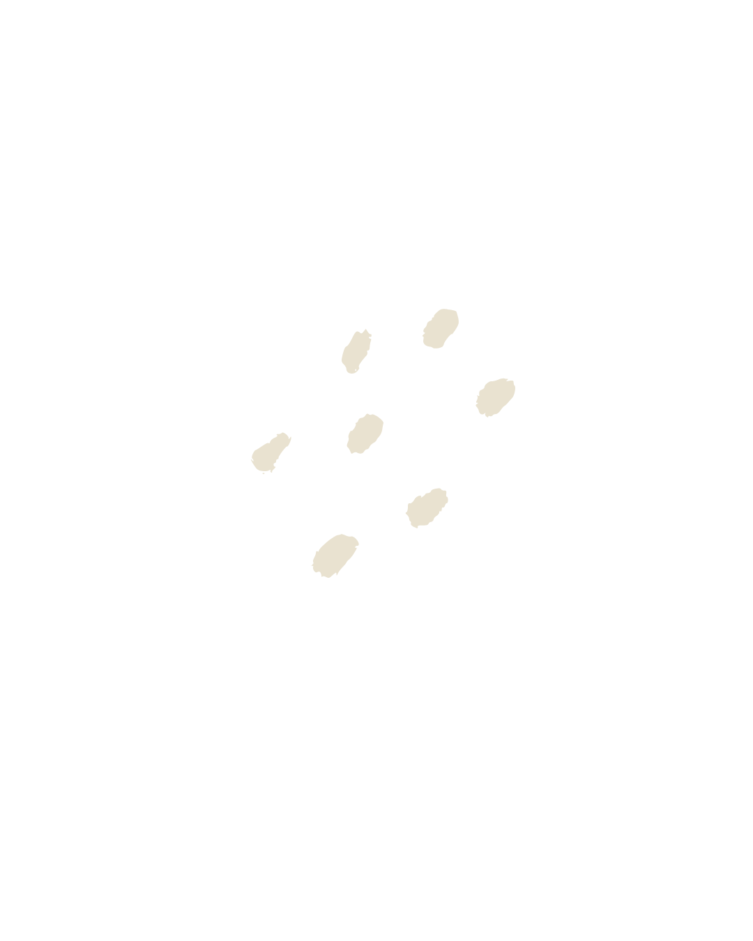 Black cap with white sesame seeds scattered on top.
