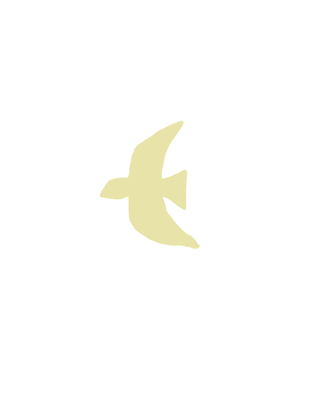 yellow bird