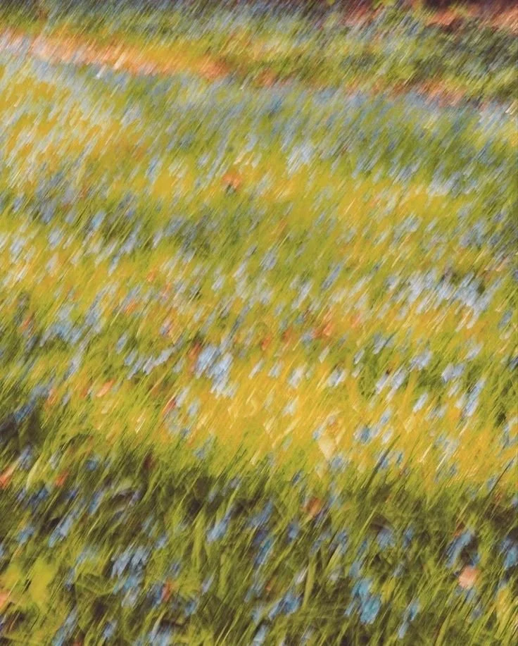 Blurred image of a grassy field with small blue flowers and scattered leaves, moving quickly or out of focus.