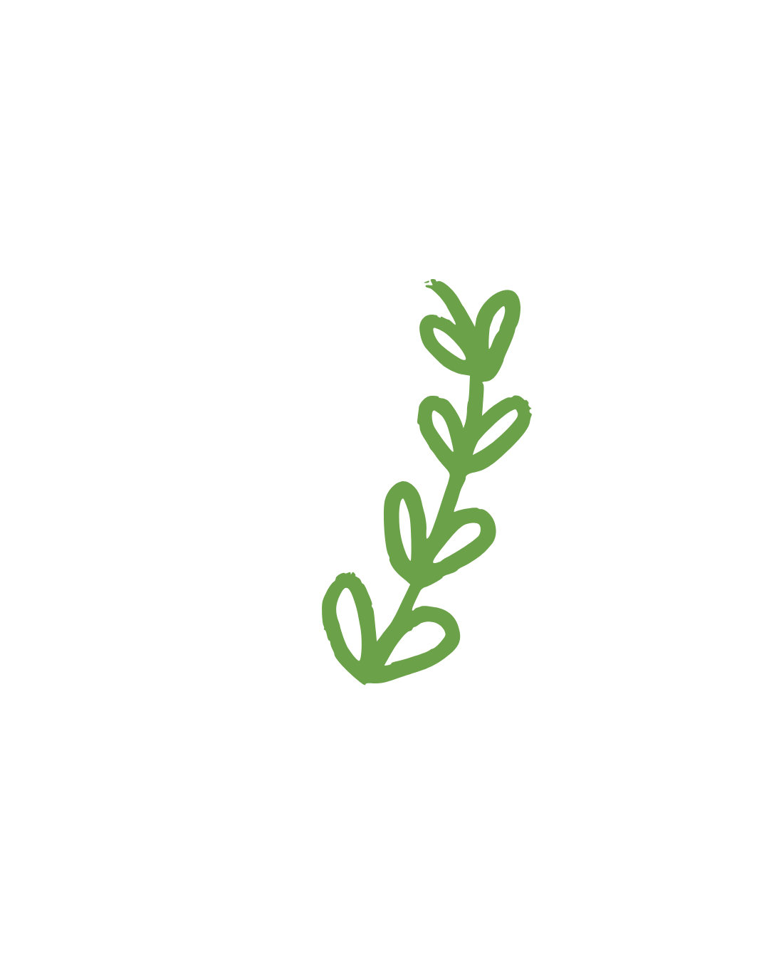 Simple line drawing of a green herb sprig, likely thyme, on a black background.
