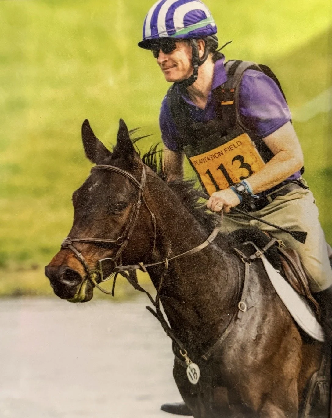 A person wearing a purple shirt, beige pants, helmet, and sunglasses riding a dark brown horse with a number 113 on a yellow race bib, during a horse race in an outdoor setting.