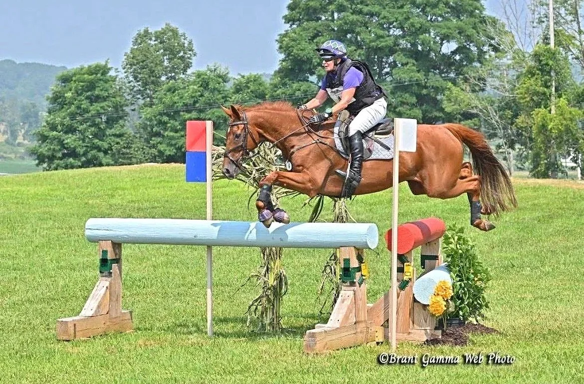 A person riding a horse jumping over an obstacle in an equestrian event on a grassy field with trees in the background.
