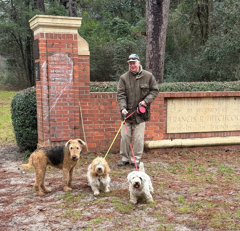 A man holding leashes walks with three dogs in front of a brick and stone memorial wall in a wooded area.