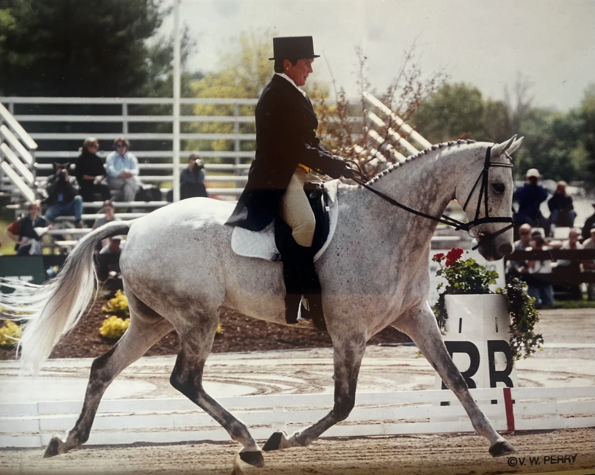 A person dressed in traditional equestrian attire, including a black top hat, riding a white horse during a competition. In the background, spectators sit on bleachers, and there are decorative flowers and a sign.