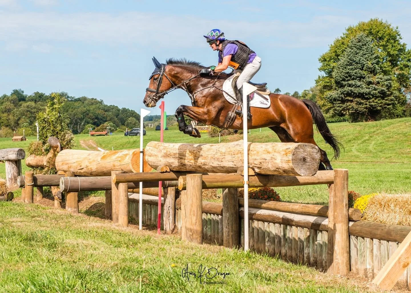 Sally Cousins her horse jumping over a log obstacle during a cross-country equestrian event on a sunny day.