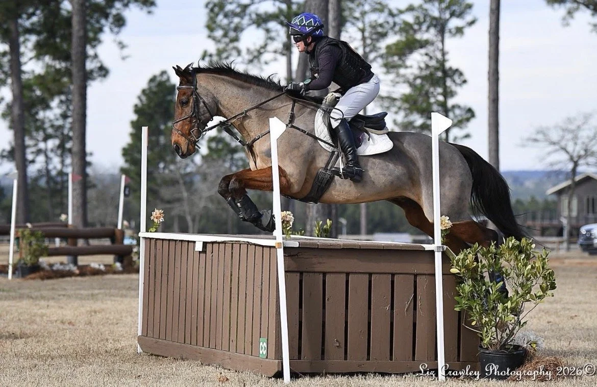 A horse and rider participating in a jump obstacle course, mid-air over a brown jump with white poles, outdoors with trees and a house in the background.