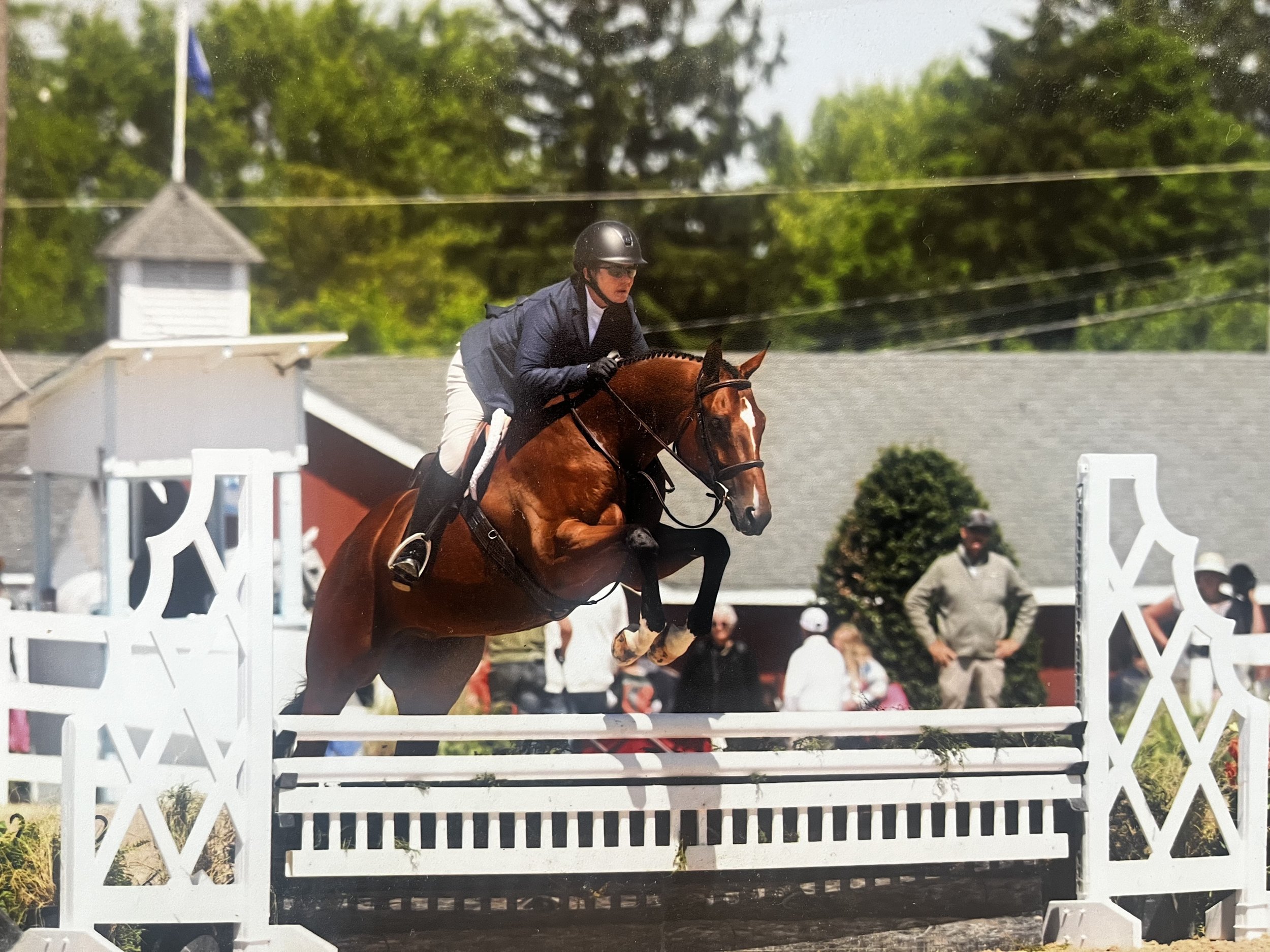 Equestrian rider mid-jump over a white obstacle during a show jumping event, with spectators and greenery in the background.