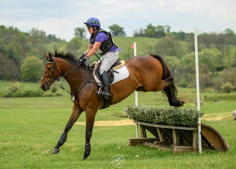 A person riding a horse in a show jumping event, mid-air over a decorative obstacle in a grassy field with trees in the background.