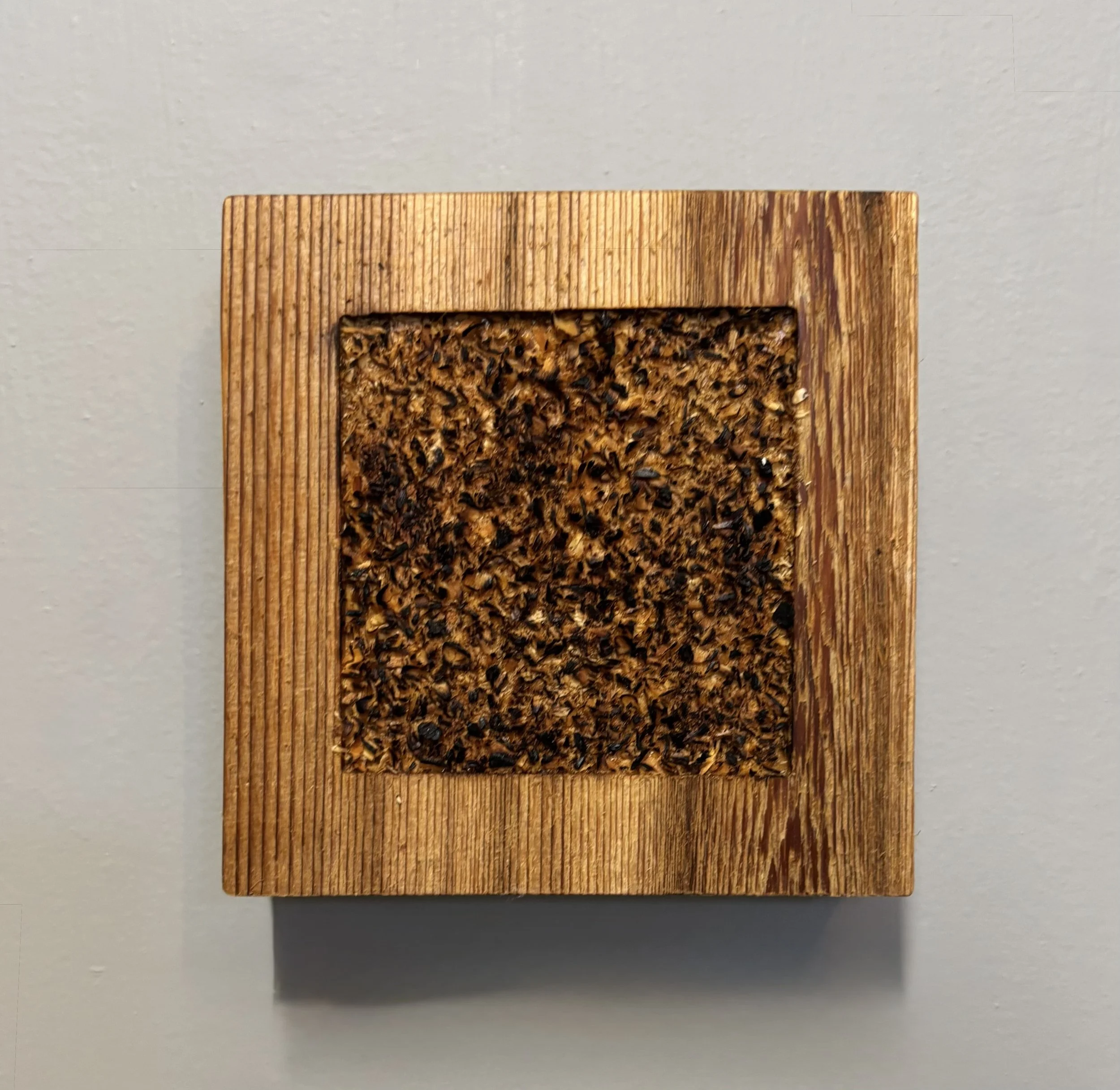Cedar. 5 1/2 x 5 1/2".  $75