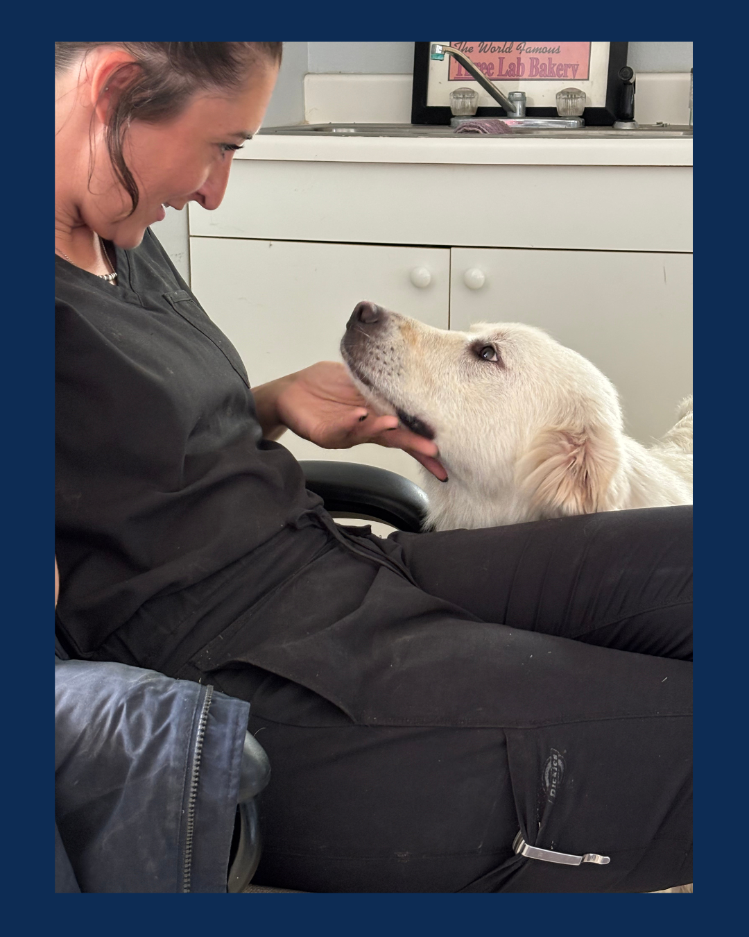 A woman sitting on a chair and smiling at a large white dog, who is looking up at her affectionately. The woman is gently holding the dog's face.