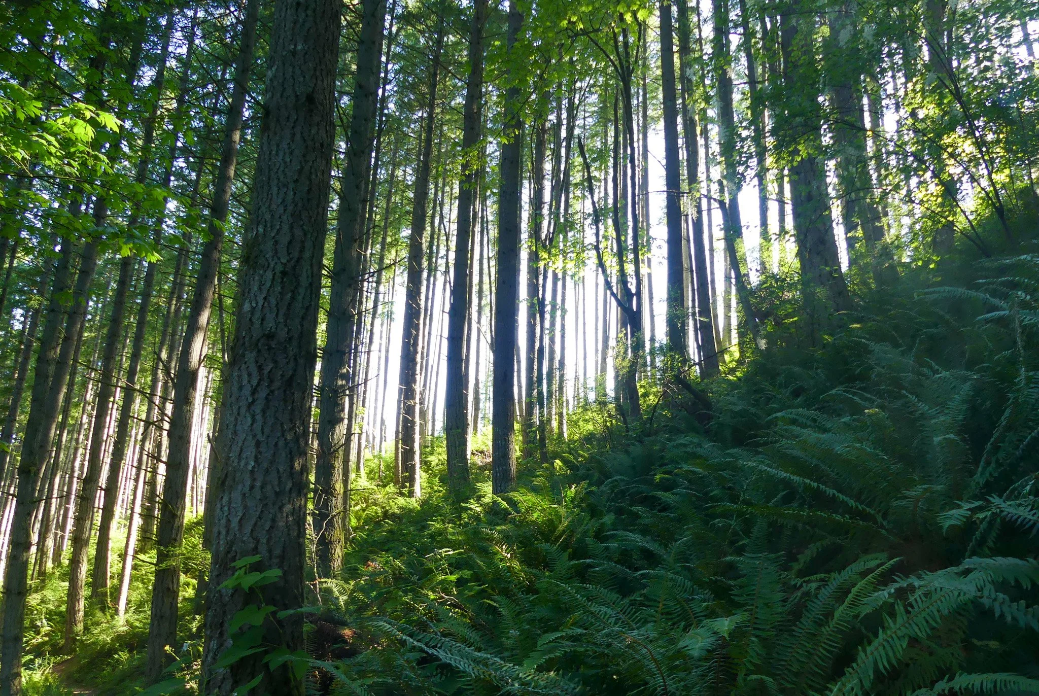 P1020573.jpg
