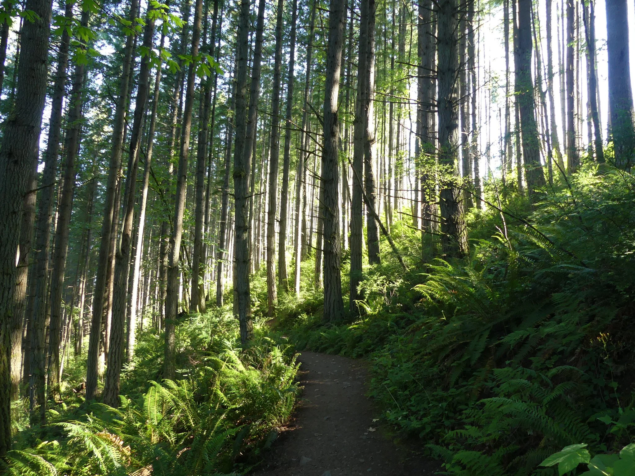 Oyster Dome, WA