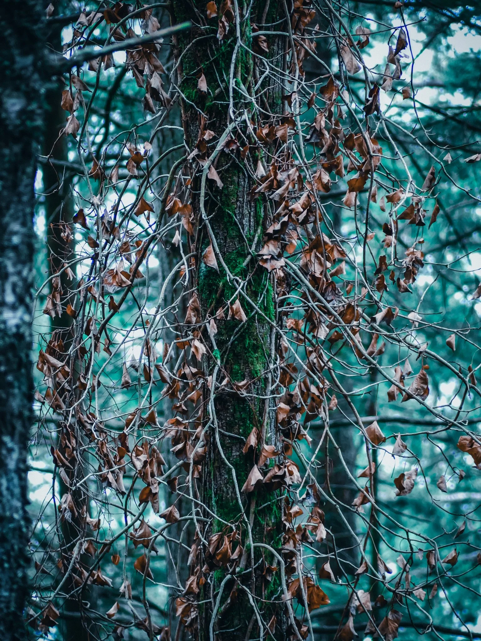 P1020667~2.jpg