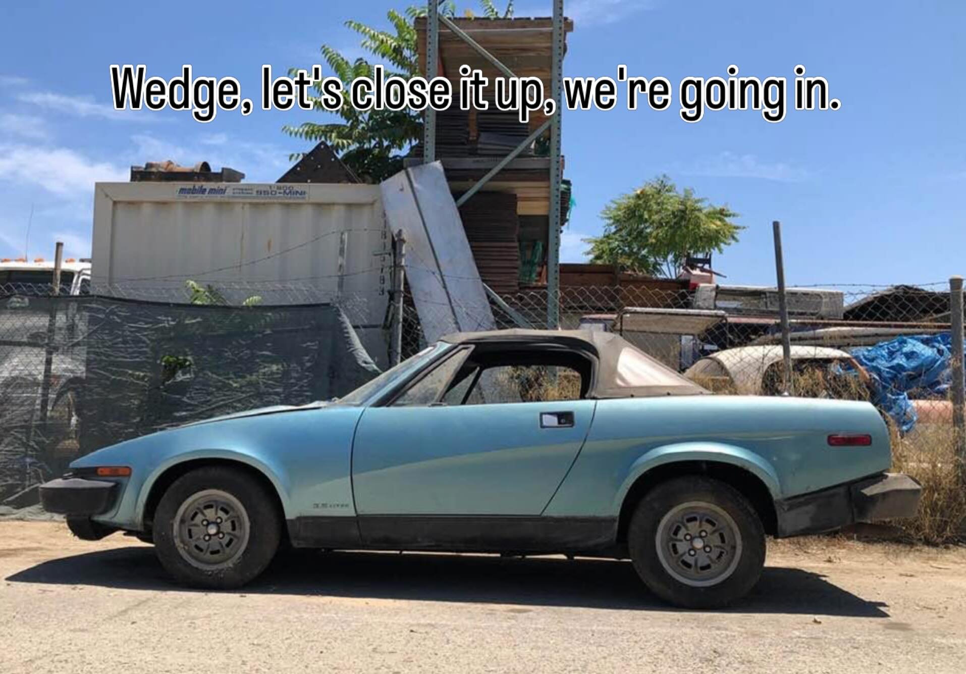 1980 Triumph TR8 Barn Find. LIB #triumph #tr8 #barnfind #wedge #thewedgeshop