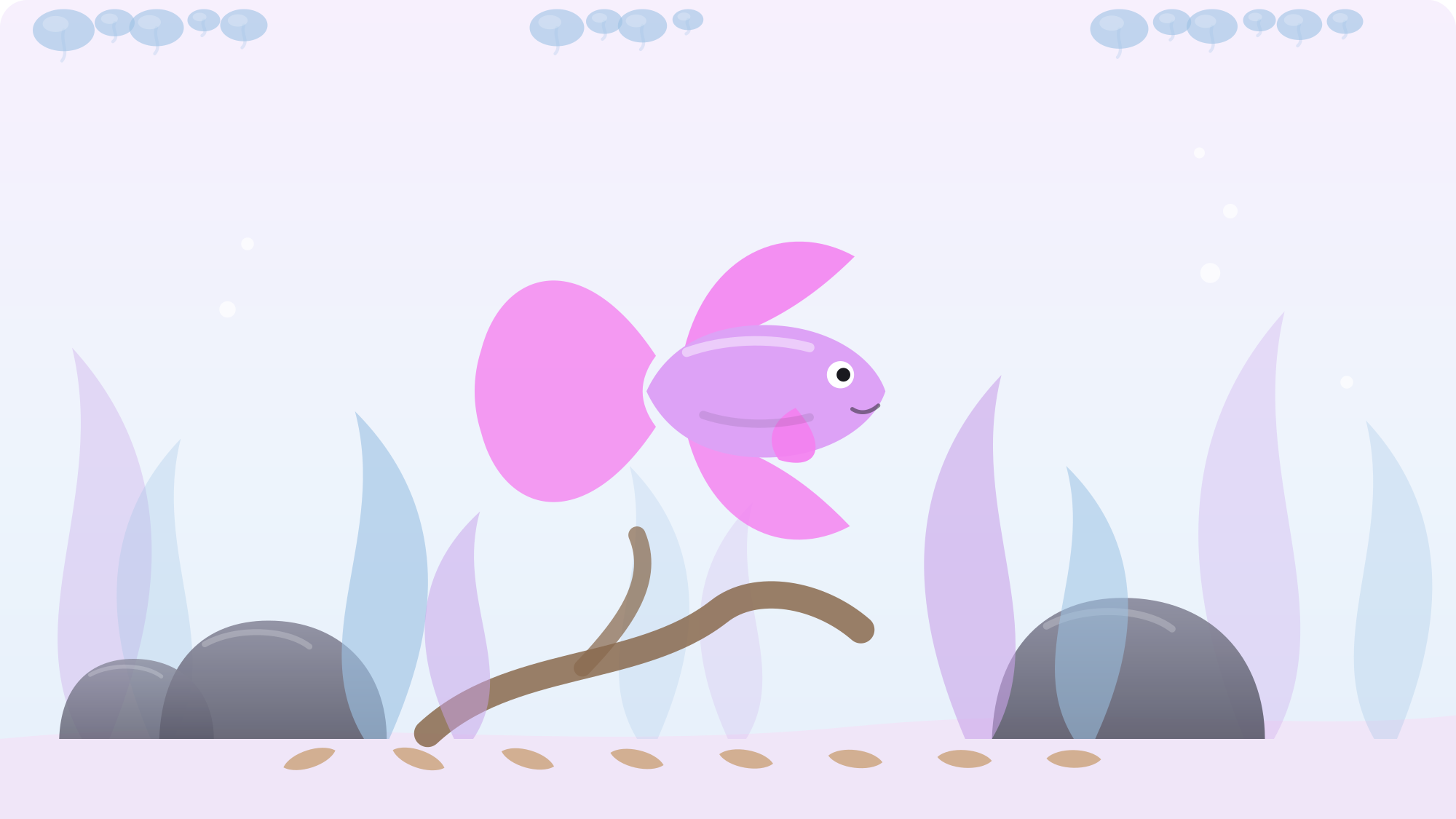 A single male betta, one of the freshwater fish that can live alone, resting among live plants in a planted aquarium