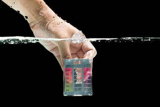 Person using a water testing kit to check aquarium water quality below the surface.
