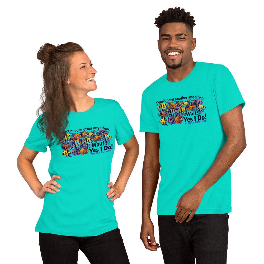 unisex-staple-t-shirt-teal-front-6a2be1c35bc59.jpg
