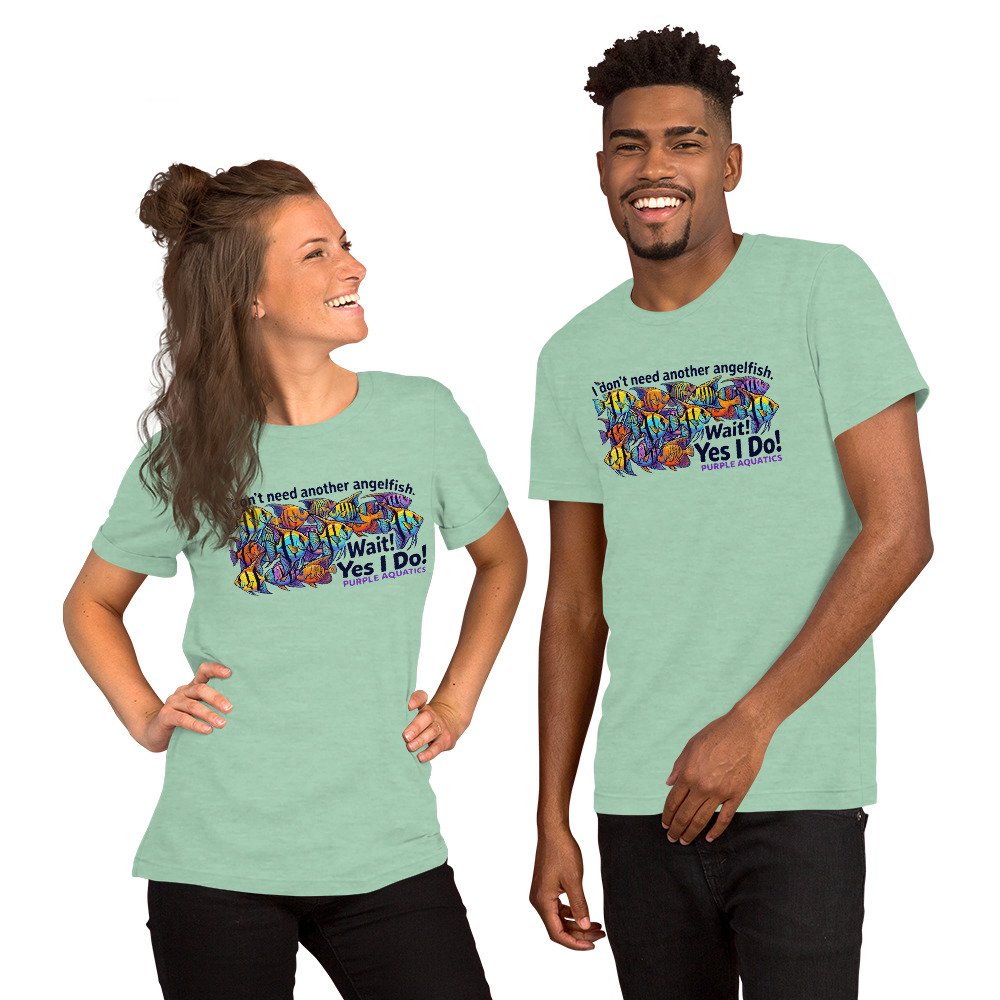 unisex-staple-t-shirt-heather-prism-mint-front-6a2be1c3966be.jpg