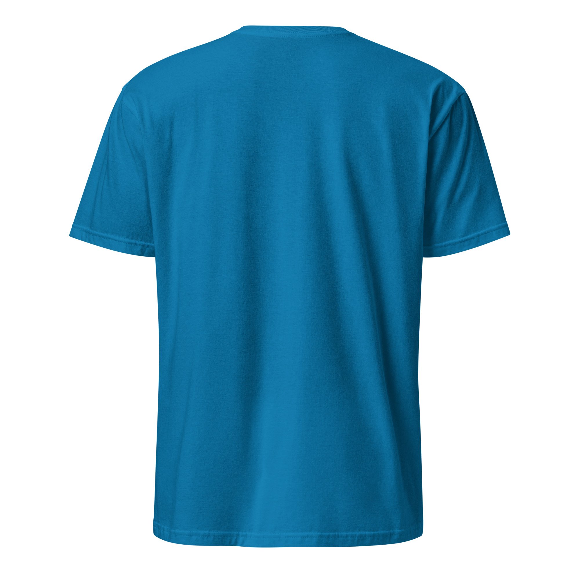 unisex-basic-softstyle-t-shirt-sapphire-back-6a2c7a4ba630f.jpg