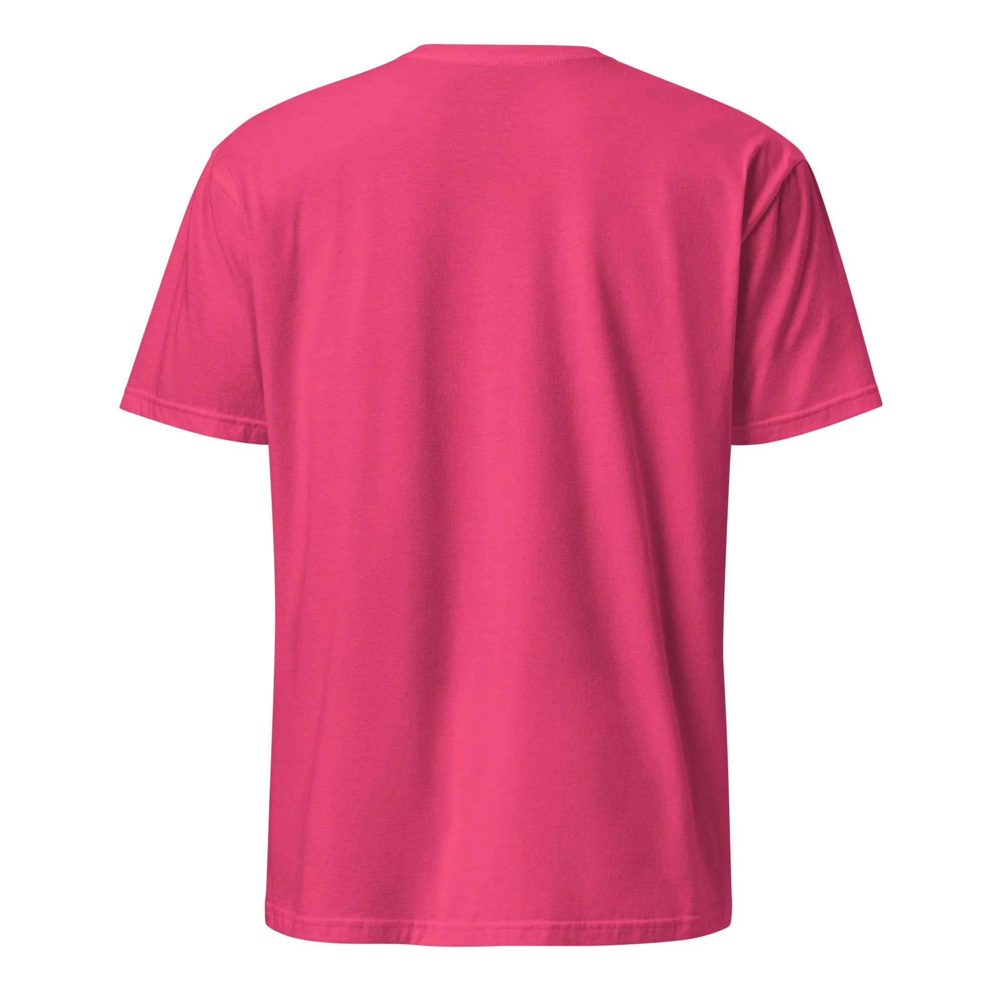 unisex-basic-softstyle-t-shirt-heliconia-back-6a2c7a4bc033a.jpg