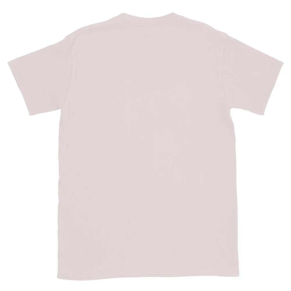 unisex-basic-softstyle-t-shirt-ice-grey-back-6a3a0803bd719.jpg
