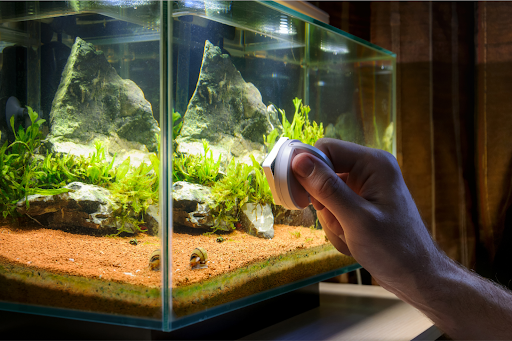 Person cleaning aquarium glass with a magnetic scrubber to remove algae buildup.