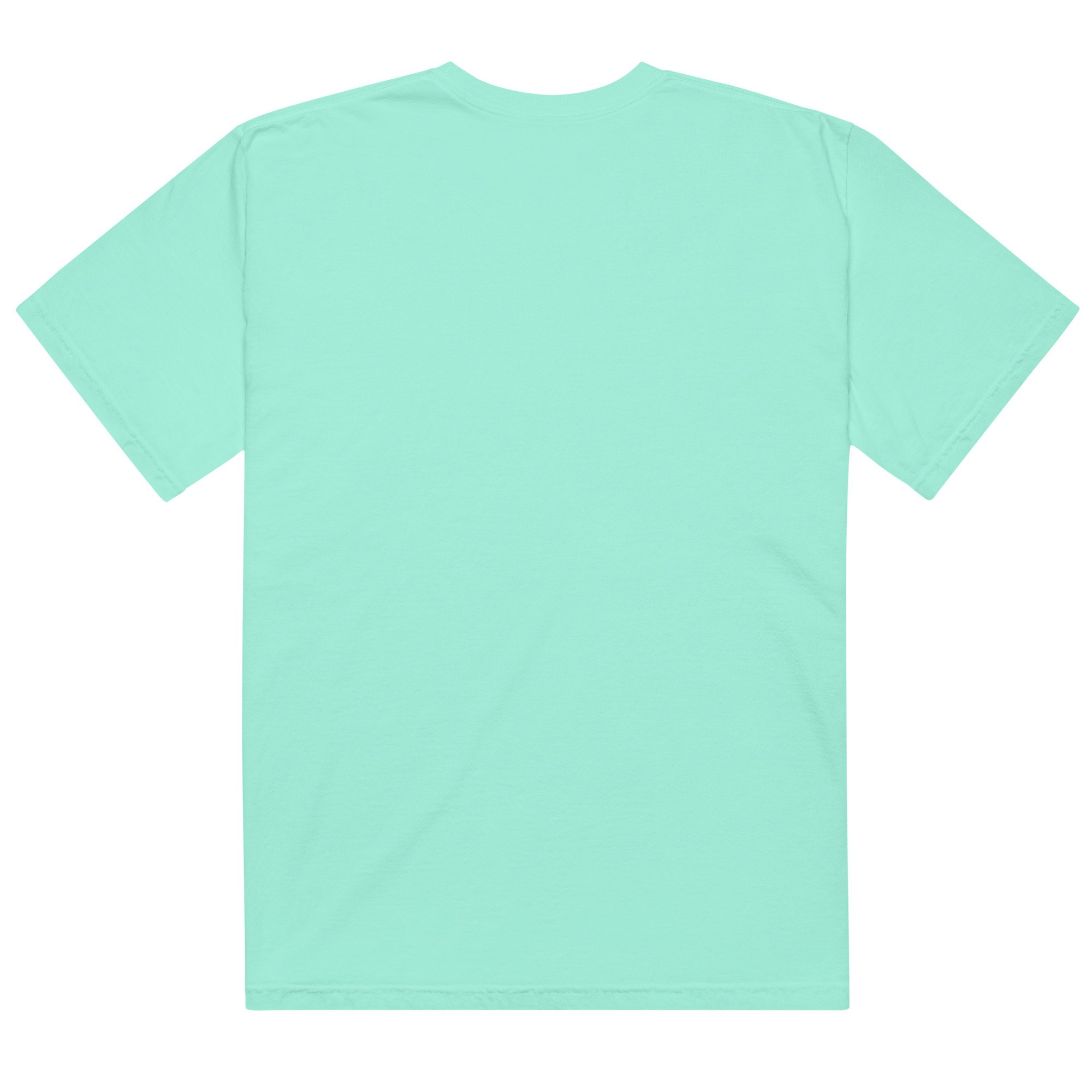 unisex-garment-dyed-heavyweight-t-shirt-chalky-mint-back-6a4acaa75f6ea.jpg