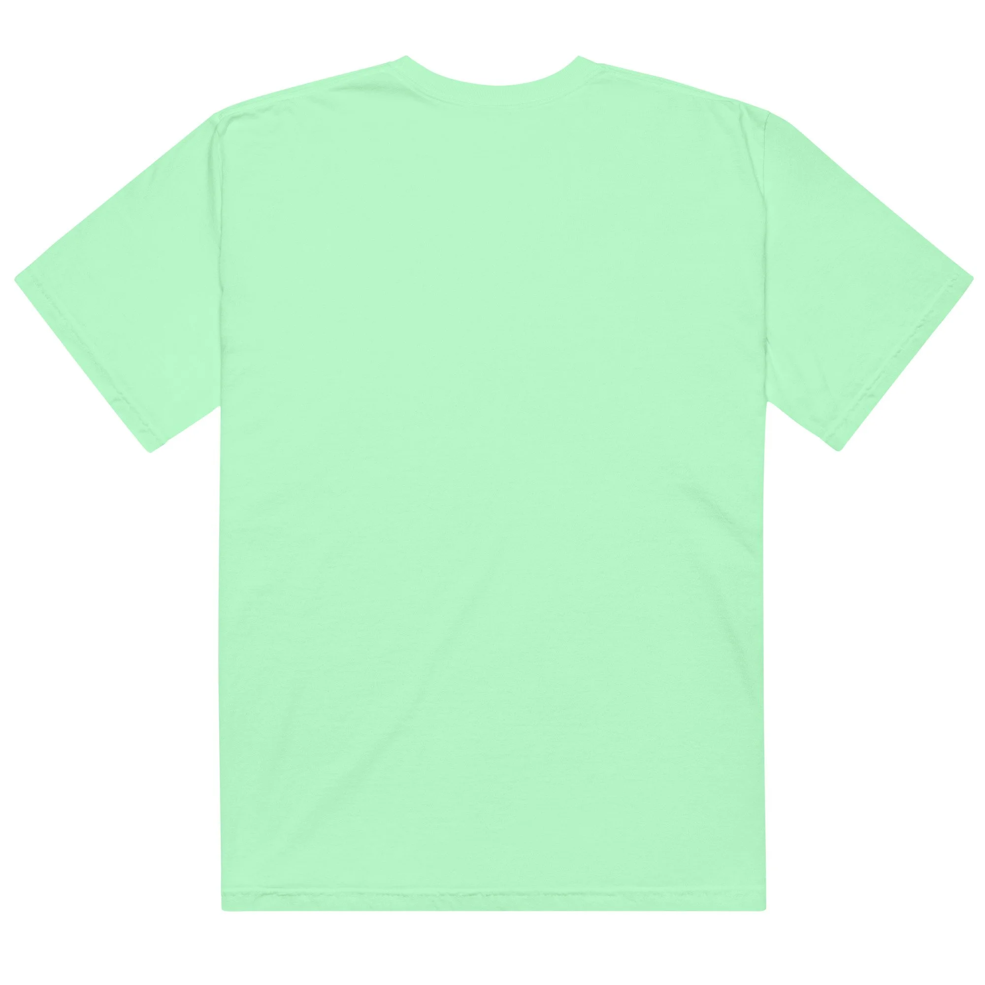 unisex-garment-dyed-heavyweight-t-shirt-island-reef-back-6a4acaa770e69.jpg