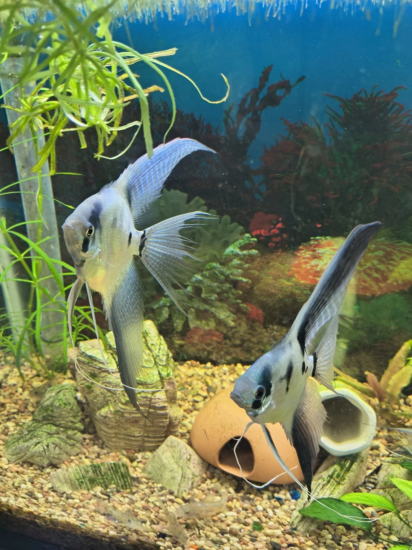 IMG_20250830_195502534_HDR.jpg