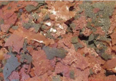 Gourmet Feast Flake - Condition Breeders, Raise Fry - Cichlid, Livebearer & More