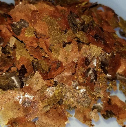NitroAQ Antibacterial Flake – Columnaris and Fin Rot – Freshwater and Marine