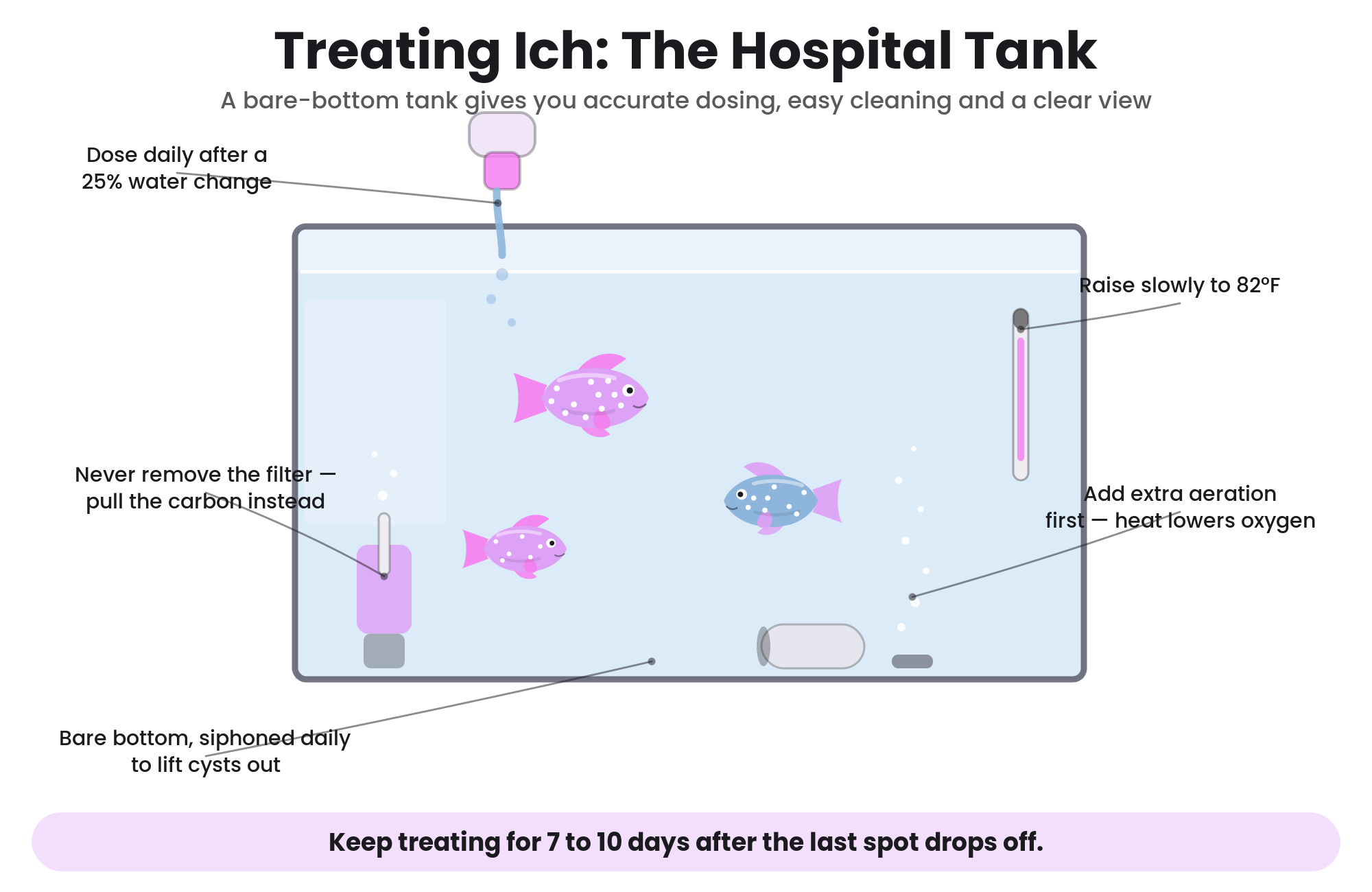 Illustrated hospital tank setup for treating ich, with labeled treatment steps