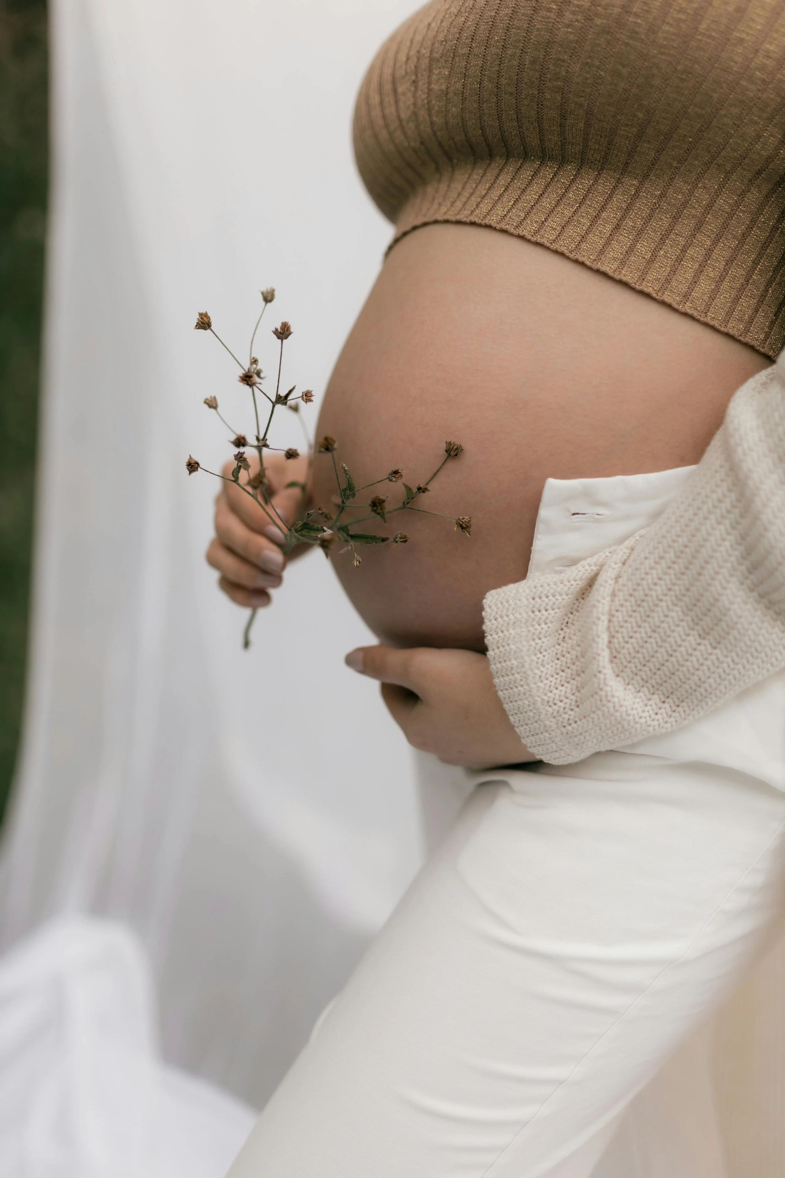 Close-up of a pregnant woman's belly, dressed in beige pants and a matching top, holding a dried flower stem with small flowers, against a white background.