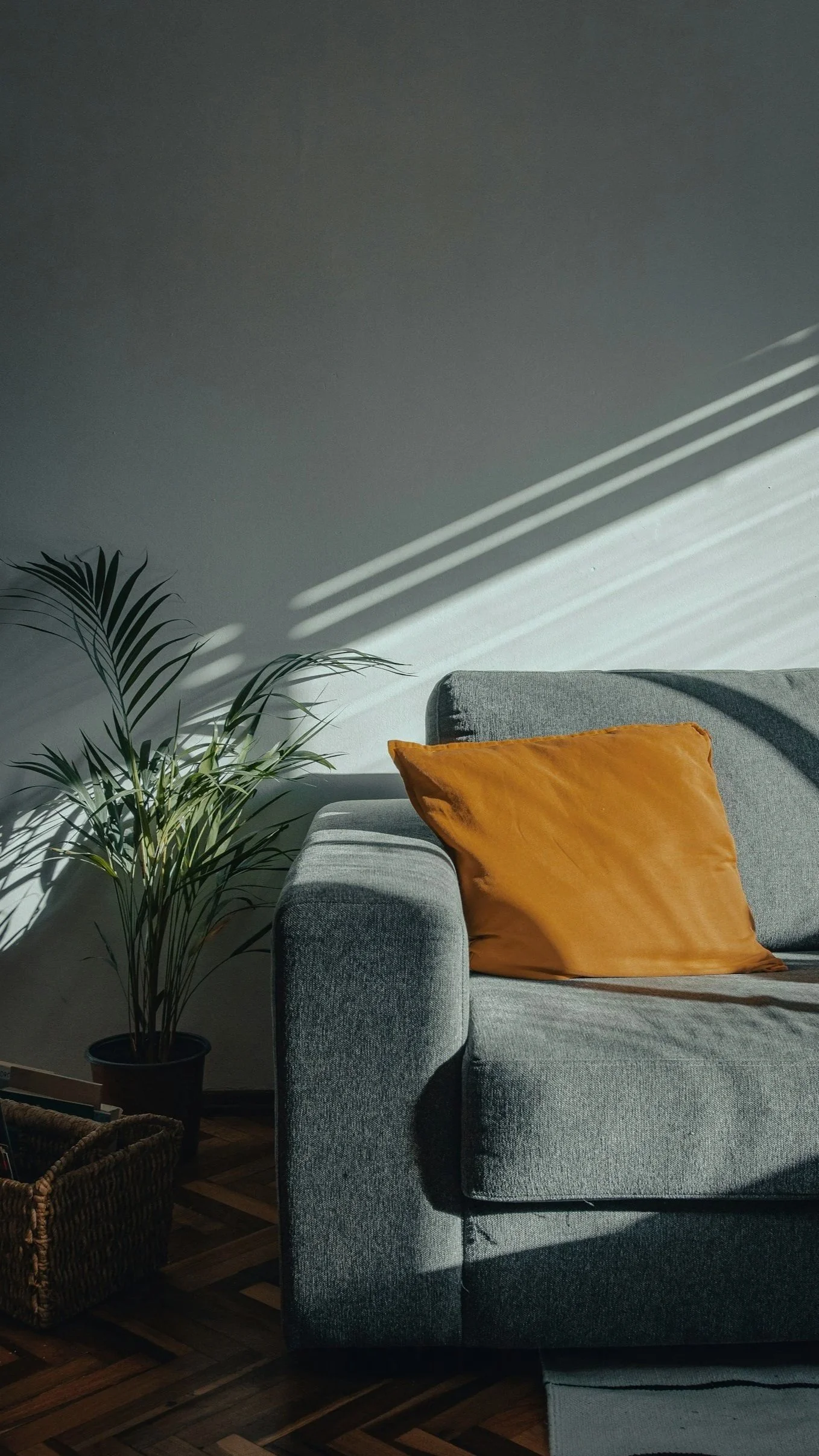 Image of a plant and couch, symbolizing the support and comfort online therapy for therapists in North Carolina, South Carolina, and Ohio provides.