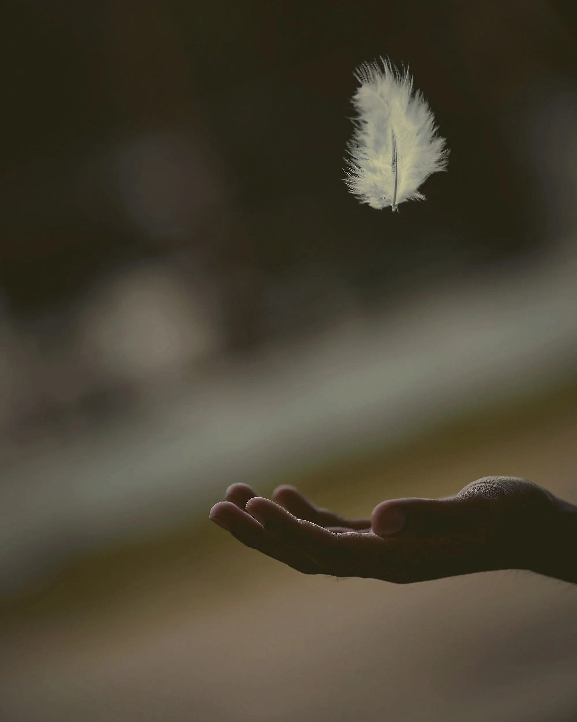Image of a hand and feather symbolizing how complex grief therapy helps clients process significant loss and prolonged grief to develop coping skills and emotional healing