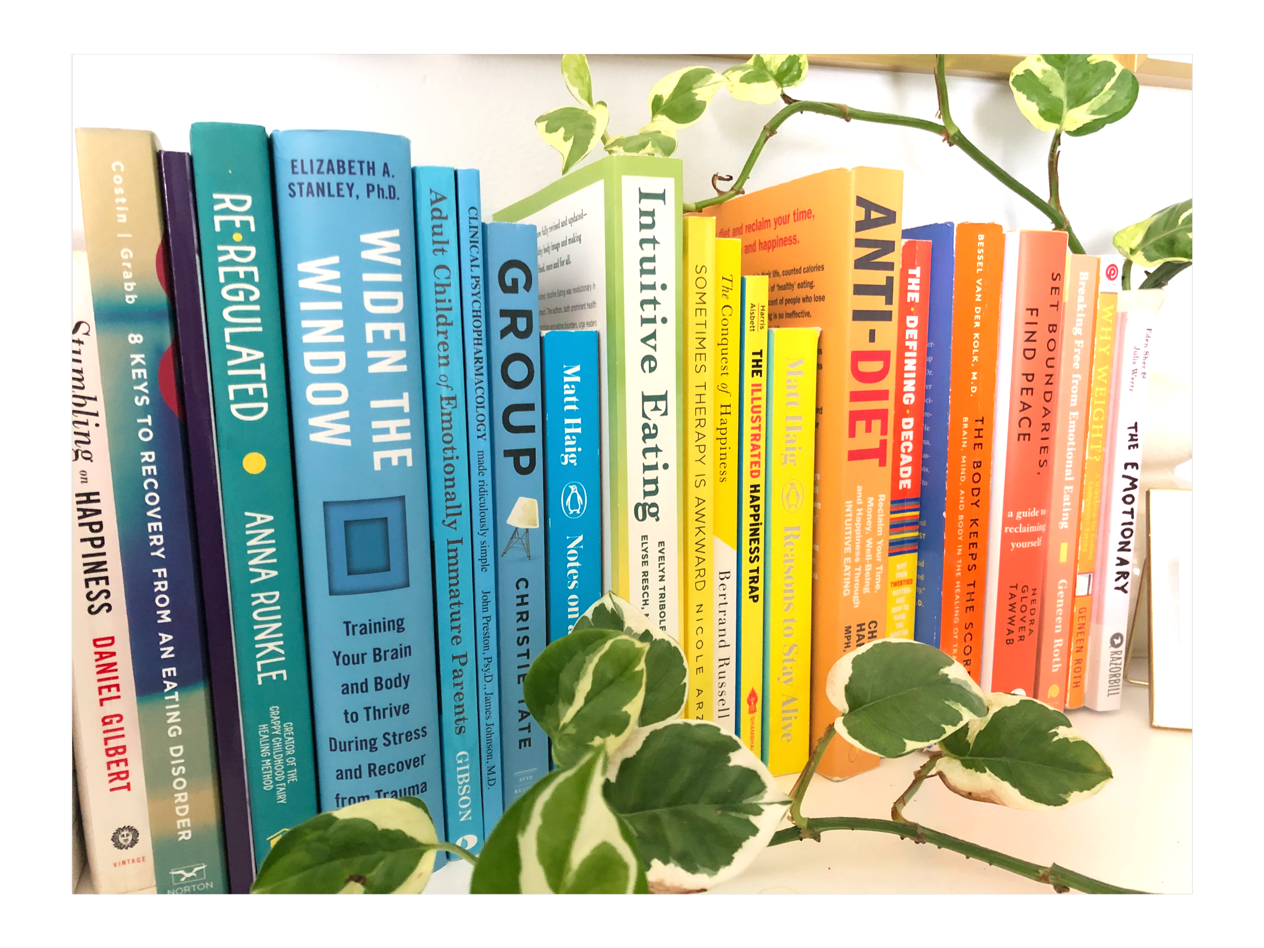 Image of self-help books, representing individualized care online mental health therapy with Barker Counseling can provide