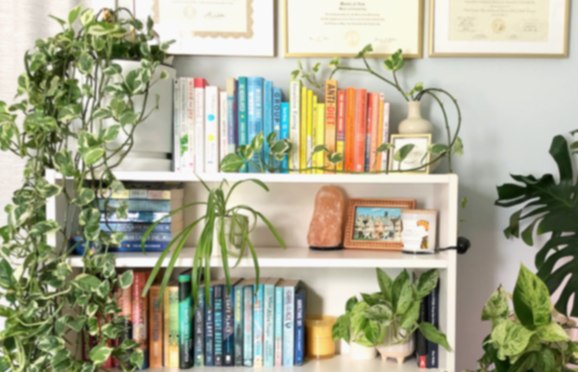 Warm, welcoming, and confidential therapy office working with clients in North Carolina, South Carolina, and Ohio
